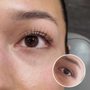Lash & Brow Boudoir & Skin