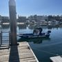 Photo of Scuba Duba