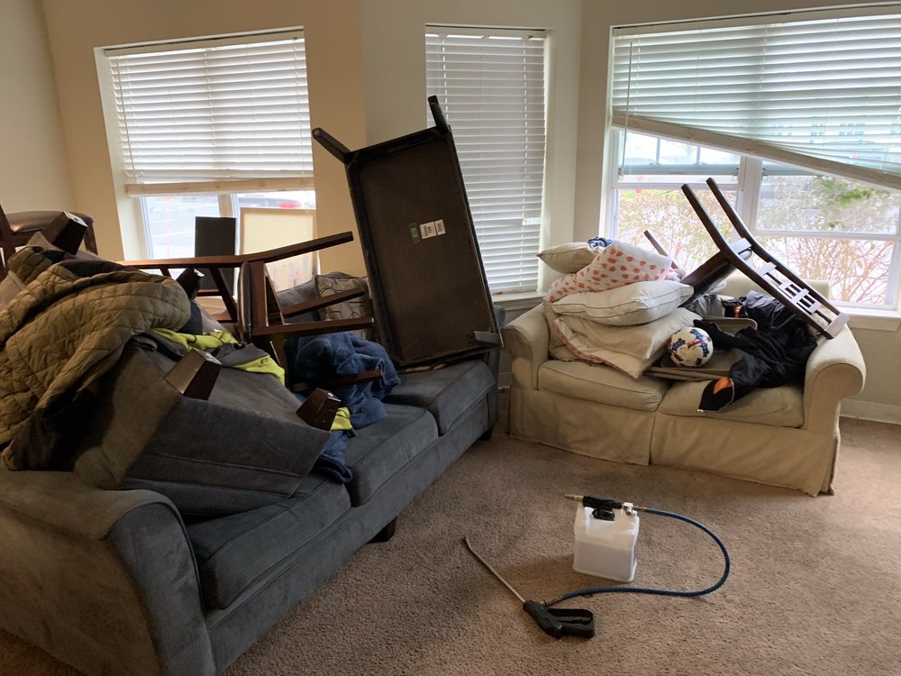 EASY CLEAN CARPET & UPHOLSTERY CLEANING COMPANY Updated August 2024 24 Photos 496 Groton