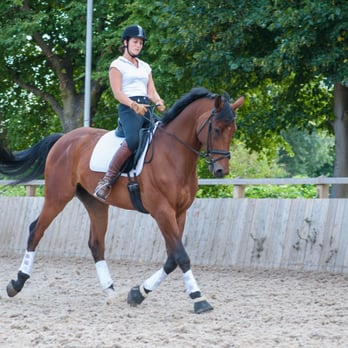Lee Valley Riding Centre - Specialty Schools Near Me - London, XGL Lee Valley Riding Centre - Specialty Schools Near Me - London, XGL