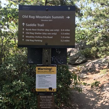 Old Rag Mountain - Sign at Old Rag Mountain Summit provides trail directions, distances, and a bear activity warning in a forested area. - Hiking Near Me