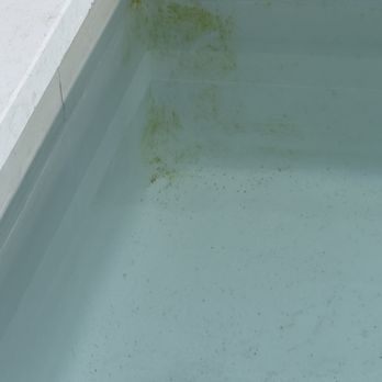 Teserra - Prior to me closing on my brand new home/pool Teserra maintains pool and the startup was so bad the plaster is permanently damaged. - Landscaping Near Me - Palm Desert, California