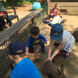 Tierpark Krüzen - Streichelgehege Zwergkaninchen
