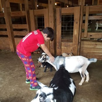 Goat Milk Stuff - Cosmetics & Beauty Supply Near Me - Scottsburg, Indiana