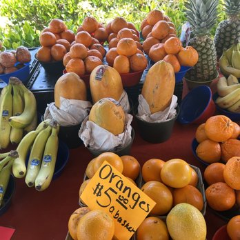 Pine Ridge Road Farmers Market - oranges, bananas, and pineapples - Farmers Market Near Me - Naples, Florida Pine Ridge Road Farmers Market - oranges, bananas, and pineapples - Farmers Market Near Me - Naples, Florida