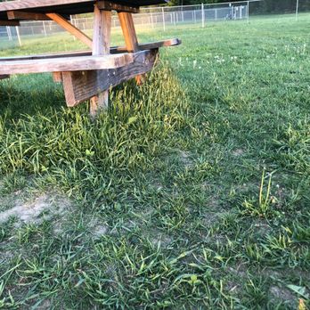 Romp and Play Dog Park - Grass at the dog park - Dog Parks Near Me - Ballston Spa, New York Romp and Play Dog Park - Grass at the dog park - Dog Parks Near Me - Ballston Spa, New York