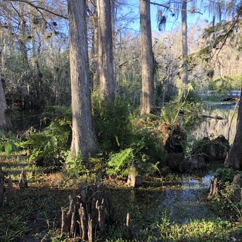 Big Cypress Gallery - Art Galleries Near Me - Ochopee, Florida