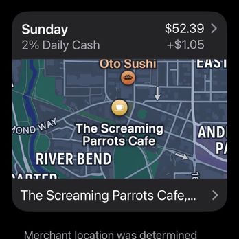 THE SCREAMING PARROTS CAFE - Updated March 2026 - 117 Photos & 55