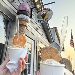 Orso Bianco Gelato