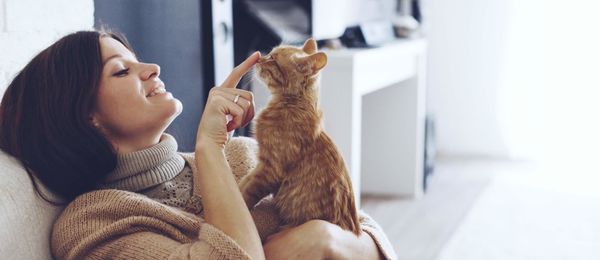 cedarwood animal hospital