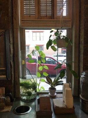 PPL by null PPL by null