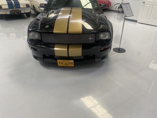 Mustang Owner's Museum by null