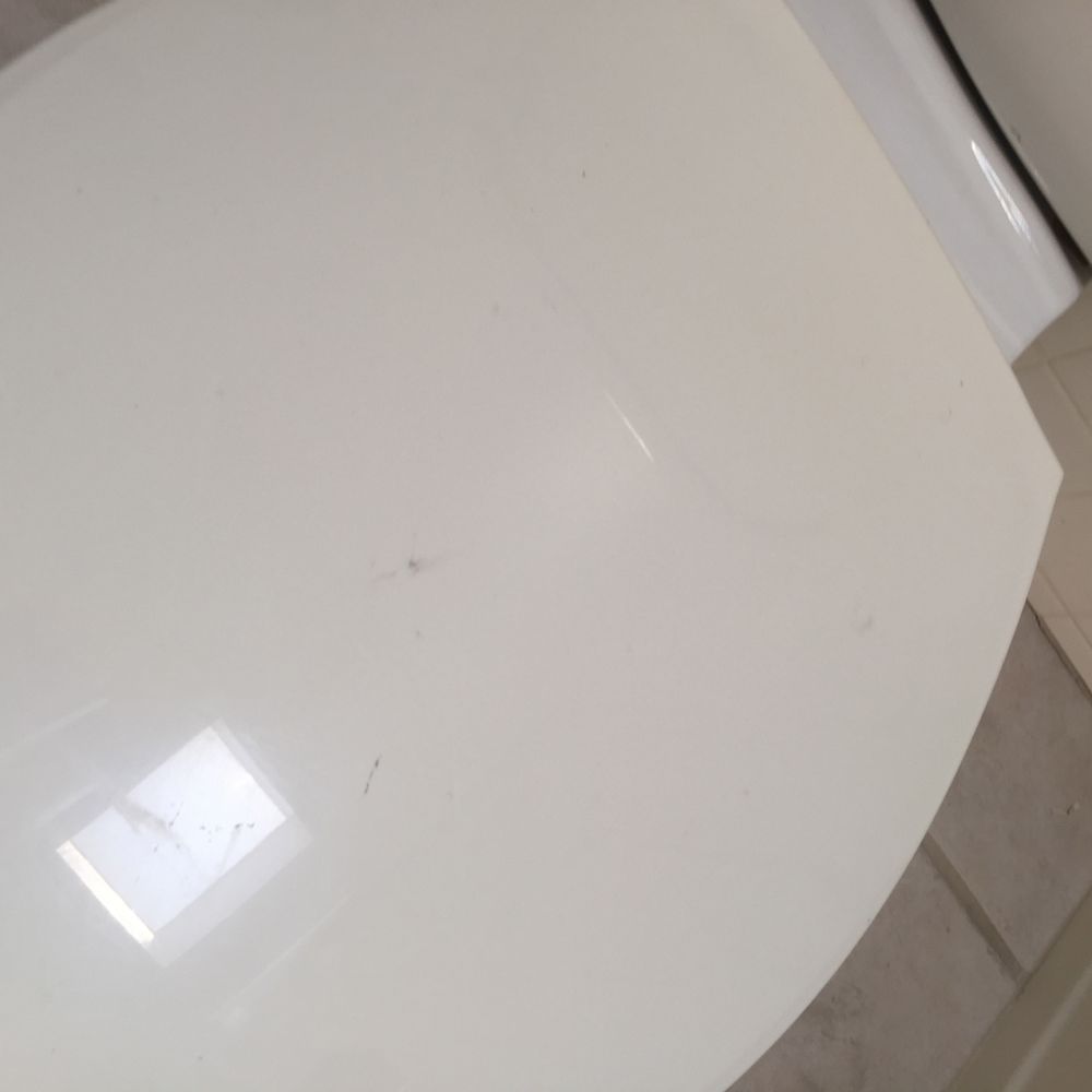Professional Cleaning - Grime on toilet seat after being charged $250 - Home Cleaning Near Me