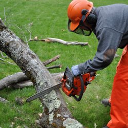 Hoskin Haus Tree Service & Pressure Washing