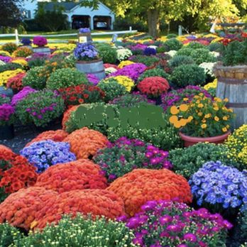 Bryan's Landscaping - Flowers - Landscaping Near Me - Hurst, Texas