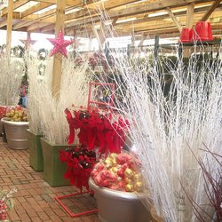 Lambert's Nurseries and Garden Center