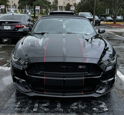 Parks Ford Of Wesley Chapel Reviews