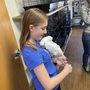Photo of The Parrot and Bird Emporium