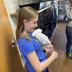 The Parrot and Bird Emporium