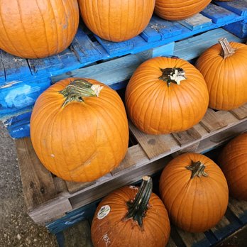 Konow's Corn Maze - Attraction Farms Near Me - Homer Glen, Illinois