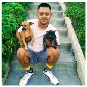 Synergy Dogs LA - Dog Walkers Near Me Synergy Dogs LA - Dog Walkers Near Me