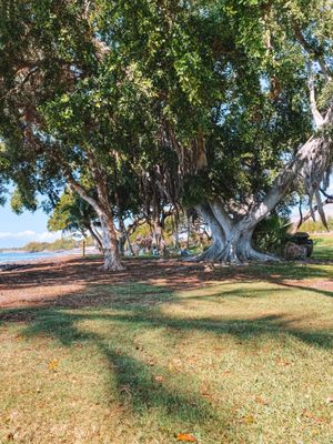 Launiupoko Beach Park by null