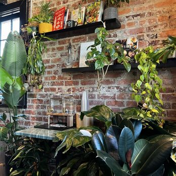 Aaktun Coffee & Bar - Coffee & Tea Near Me - Durham, North Carolina