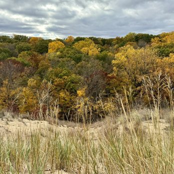 Warren Dunes State Park - Parks Near Me - Sawyer, Michigan Warren Dunes State Park - Parks Near Me - Sawyer, Michigan