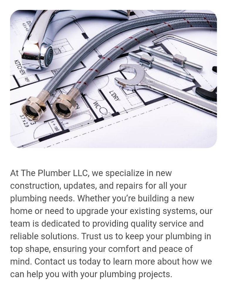 Slide of The Plumber