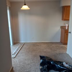 Shockwav3s Solutions Pro Service - Light fixtures painted walls Trimming and