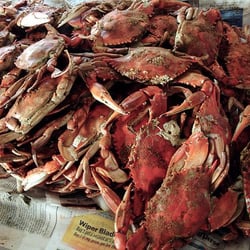 Capt. Malc's - Roughly four dozen steamed number one Jimmys: $50