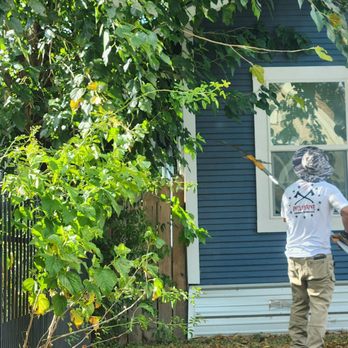 Wolverine Arbor Services - Lower tree limb cutting - Tree Services Near Me Wolverine Arbor Services - Lower tree limb cutting - Tree Services Near Me