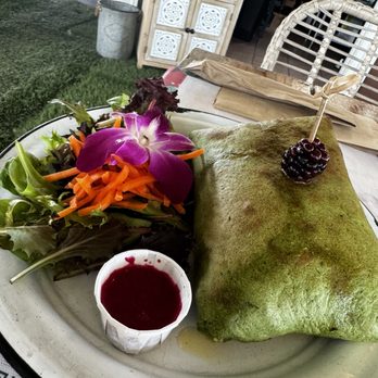 Bulegreen Cafe Yard - Vegan pillow - Cafes Near Me - Oakland Park, Florida Bulegreen Cafe Yard - Vegan pillow - Cafes Near Me - Oakland Park, Florida