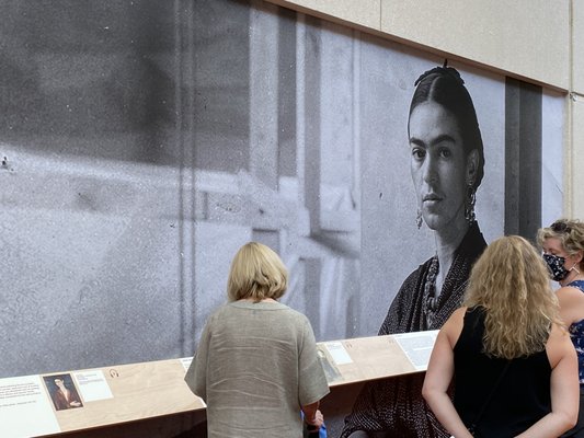 Cleve Carney Museum of Art by null