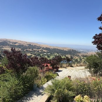 The Dragon Mountain  Thien Long Son - Parks Near Me - Milpitas, California
