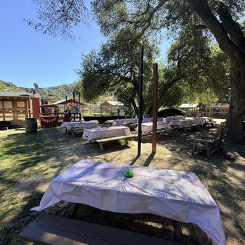 Reptacular Animals - Party & Event Planning Near Me - Sun Valley, California Reptacular Animals - Party & Event Planning Near Me - Sun Valley, California