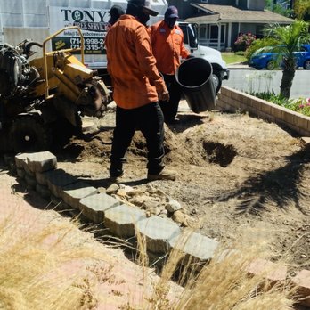 Tony's BC Tree Service - Tree Services Near Me - Orange, California Tony's BC Tree Service - Tree Services Near Me - Orange, California