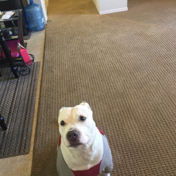Altus Carpet Care - Carpet Cleaning Near Me Altus Carpet Care - Carpet Cleaning Near Me