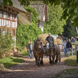 LVR-Freilichtmuseum Kommern - Nach der Ernte im LVR-Freilichtmuseum Kommern. Foto: LVR-Freilichtmuseum Kommern, Hans-Theo Gerhards