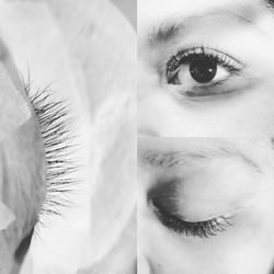 Esthetics by Michelle - Classic lash
