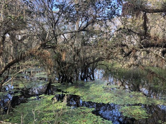 Kirby Storter Roadside Park by null