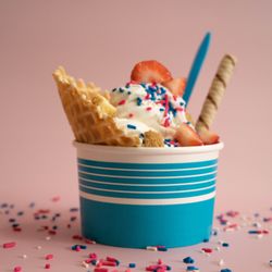 Blue Spoon Yogurt - Frozen Yogurt