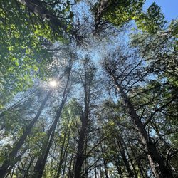 Nalley Brown Nature Park