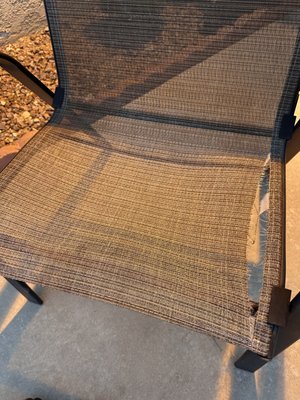 Taylor Association Management