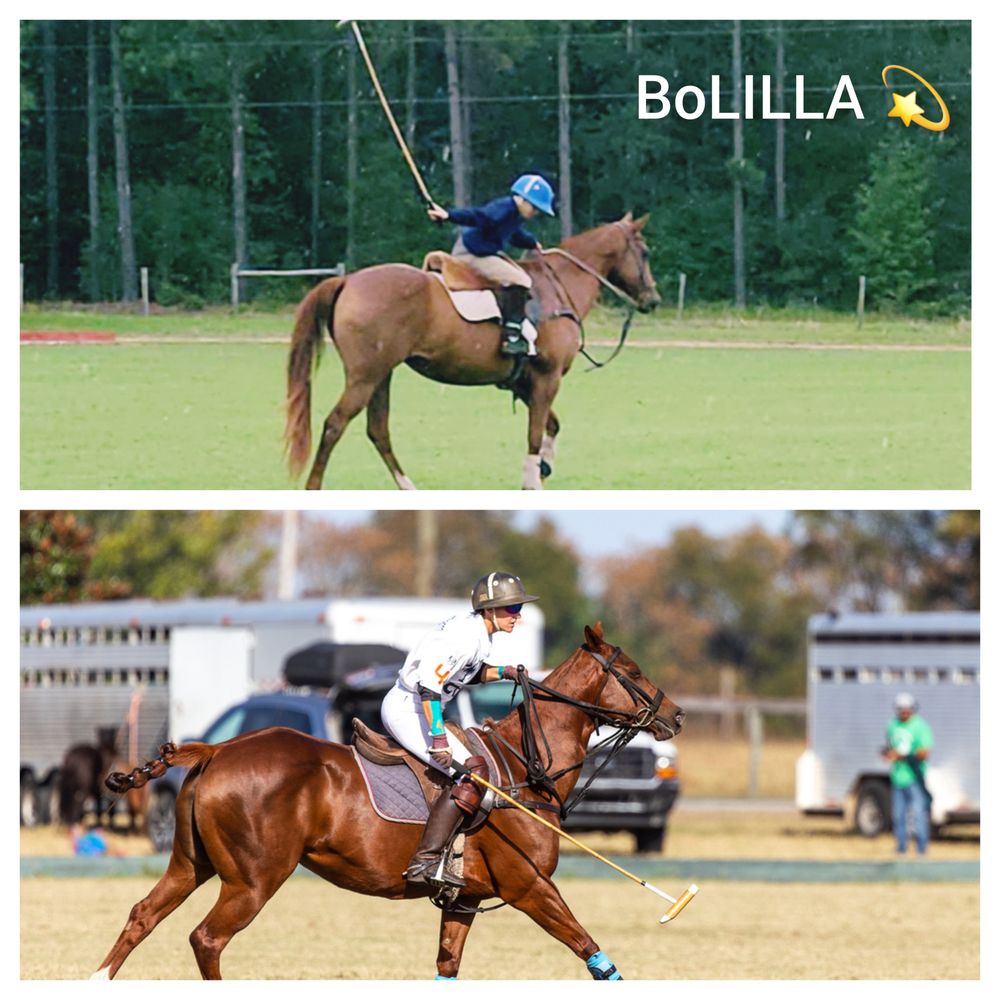 O.C. Farm - equestrian in Blackville, SC