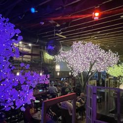 Derailed Pour House - The lit up trees