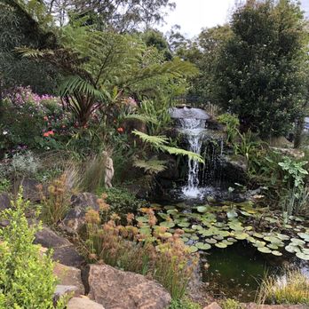 Tamborine Mountain Distillery - Zen garden - Local Flavor Near Me - North Tamborine, QLD