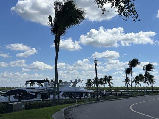 High Tide Social House by null