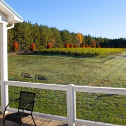 Thistle Gate Vineyard - Come relax on our expansive porches, decks and gazebo. Bring a picnic or choose from a variety of light foods.