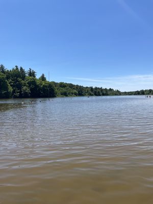 Christie Lake Conservation Area by null